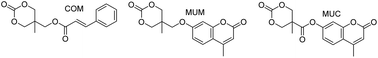 Graphical abstract: Synthesis of cinnamoyl and coumarin functionalized aliphatic polycarbonates