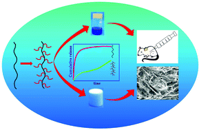 Graphical abstract: Retracted Article: A polyurethane–chitosan brush as an injectable hydrogel for controlled drug delivery and tissue engineering