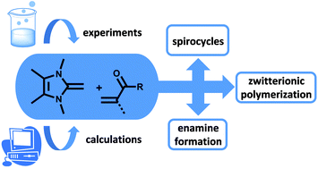 Graphical abstract: N-Heterocyclic olefins as initiators for the polymerization of (meth)acrylic monomers: a combined experimental and theoretical approach