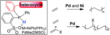 Graphical abstract: Manipulation of polymer branching density in phosphine-sulfonate palladium and nickel catalyzed ethylene polymerization