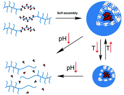 Graphical abstract: Thermo and pH dual-responsive drug-linked pseudo-polypeptide micelles with a comb-shaped polymer as a micellar exterior
