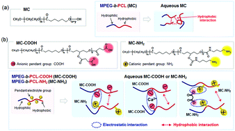 Graphical abstract: Temperature-responsive hydrogels via the electrostatic interaction of amphiphilic diblock copolymers with pendant-ion groups