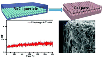 Graphical abstract: Simultaneous superior lubrication and high load bearing by the dynamic weak interaction of a lubricant with mechanically strong bilayer porous hydrogels