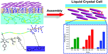 Graphical abstract: Control of the alignment of liquid crystal molecules on a sequence-polymerized film by surface migration and polarized light irradiation