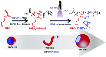 Graphical abstract: Rapid synthesis of well-defined all-acrylic diblock copolymer nano-objects via alcoholic photoinitiated polymerization-induced self-assembly (photo-PISA)