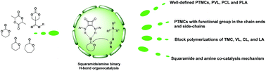 Graphical abstract: Squaramide and amine binary H-bond organocatalysis in polymerizations of cyclic carbonates, lactones, and lactides