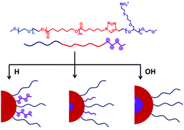 Graphical abstract: Synthesis and sequence-controlled self-assembly of amphiphilic triblock copolymers based on functional poly(ethylene glycol)
