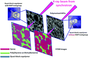 Graphical abstract: Morphology control in polymerised high internal phase emulsion templated via macro-RAFT agent composition: visualizing surface chemistry