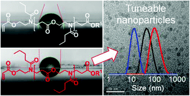 Graphical abstract: Functional hydrophobic and hetero-grafted block comb polymers via a combination of spontaneous zwitterionic copolymerisation and redox-initiated RAFT polymerisation