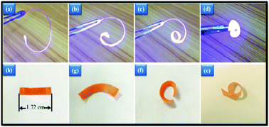 Graphical abstract: Development of liquid crystalline polyurethane composites with stage-responsive shape memory effects