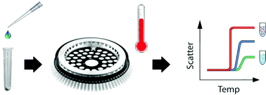 Graphical abstract: High-throughput physicochemical analysis of thermoresponsive polymers