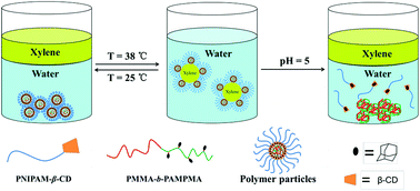 Graphical abstract: The fabrication of amphiphilic double dynamers for responsive Pickering emulsifiers