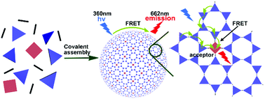 Graphical abstract: Covalently assembled polymer nanocapsules: a novel scaffold for light-harvesting