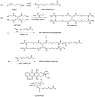 Graphical abstract: A pH-responsive polymer based on dynamic imine bonds as a drug delivery material with pseudo target release behavior