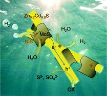 Graphical abstract: NiS nanoparticle decorated MoS2 nanosheets as efficient promoters for enhanced solar H2 evolution over ZnxCd1−xS nanorods