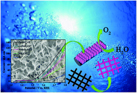 Graphical abstract: Efficient MMoO4 (M = Co, Ni) carbon cloth electrodes for water oxidation
