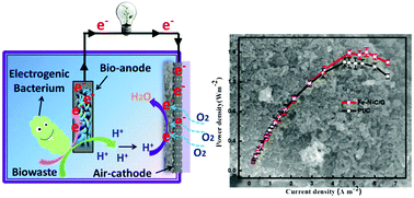 Graphical abstract: A polyaniline-derived iron–nitrogen–carbon nanorod network anchored on graphene as a cost-effective air-cathode electrocatalyst for microbial fuel cells