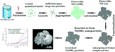 Graphical abstract: Microwave-assisted fast synthesis of hierarchical NiCo2O4 nanoflower-like supported Ni(OH)2 nanoparticles with an enhanced electrocatalytic activity towards methanol oxidation