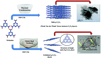 Graphical abstract: Exfoliated metal free homojunction photocatalyst prepared by a biomediated route for enhanced hydrogen evolution and Rhodamine B degradation