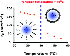 Graphical abstract: Direct correlation of PNIPAM thermal transition and magnetic resonance relaxation of iron oxide nanoparticles