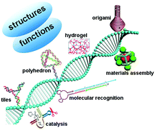 Graphical abstract: Self-assembled DNA nanomaterials with highly programmed structures and functions