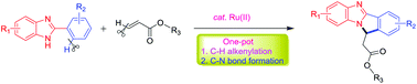 Graphical abstract: Ruthenium(ii)-catalyzed C–H alkenylation/annulation cascade for the rapid synthesis of benzoimidazoisoindoles