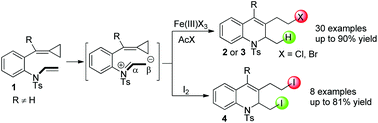 Graphical abstract: Iron-catalyzed or iodine-induced intramolecular halocyclization of N-vinyl-tethered methylenecyclopropanes: facile access to halogenated 1,2-dihydroquinolines