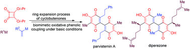 Graphical abstract: A concise synthetic approach to parvistemin A and (±)-diperezone