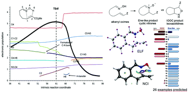 Graphical abstract: Introducing topology to assess the synchronicity of organic reactions. Dual reactivity of oximes with alkenes as a case study