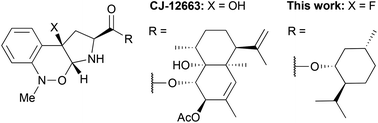 Graphical abstract: Diastereoselective synthesis of fluoroisosteric analogues of antiparasitic pyrrolobenzoxazine alkaloids from tryptophan by successive fluorination–cyclization and a Meisenheimer-type rearrangement