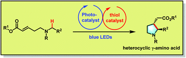 Graphical abstract: Photoredox organocatalytic α-amino C(sp3)–H functionalization for the synthesis of 5-membered heterocyclic γ-amino acid derivatives