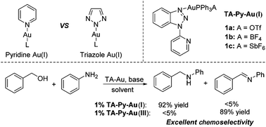 Graphical abstract: Where does Au coordinate to N-(2-pyridiyl)benzotriazole: gold-catalyzed chemoselective dehydrogenation and borrowing hydrogen reactions