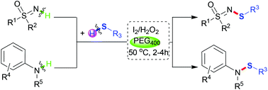 Graphical abstract: Synthesis of N-sulfenyl-sulfoximines and -sulfenamides through a metal-free N–H/S–H dehydrocoupling reaction