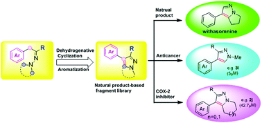 Graphical abstract: Synthesis of withasomnine and pyrazole derivatives via intramolecular dehydrogenative cyclization, as well as biological evaluation of withasomnine-based scaffolds