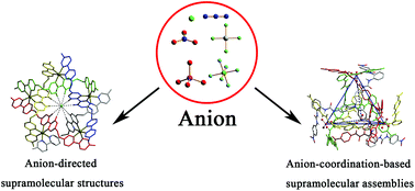 Graphical abstract: Anion-coordination-directed self-assemblies