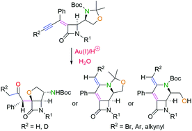 Graphical abstract: Gold-catalyzed preparation of annelated 2-azetidinones via divergent heterocyclization of enyne-tethered oxazolidines