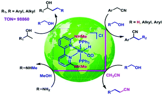 Graphical abstract: ortho-Amino group functionalized 2,2′-bipyridine based Ru(ii) complex catalysed alkylation of secondary alcohols, nitriles and amines using alcohols