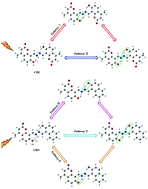 Graphical abstract: Exploring the ESIPT dynamical processes of two novel chromophores: symmetrical structure CHC and asymmetric structure CHN