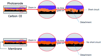 Graphical abstract: A PVdF-based electrolyte membrane for a carbon counter electrode in dye-sensitized solar cells