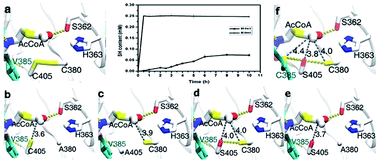 Graphical abstract: Mutational analysis to identify the residues essential for the acetyltransferase activity of GlmU in Bacillus subtilis