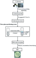 Graphical abstract: Extraction and characterization of anti-oxidative polysaccharide–protein complexes from Corbicula fluminea through three-phase partitioning