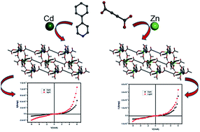 Graphical abstract: Cation dependent charge transport in linear dicarboxylate based isotypical 1D coordination polymers