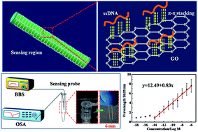 Graphical abstract: Ultrasensitive and in situ DNA detection in various pH environments based on a microfiber with a graphene oxide linking layer