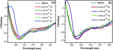 Graphical abstract: Comparative effect of cationic gemini surfactant and its monomeric counterpart on the conformational stability and activity of lysozyme