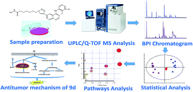 Graphical abstract: Metabolomics analysis reveals aminoquinazolin derivative 9d-induced oxidative stress and cell cycle arrest in A549 cells