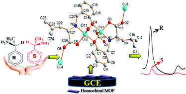 Graphical abstract: Highly efficient electrochemical recognition and quantification of amine enantiomers based on a guest-free homochiral MOF