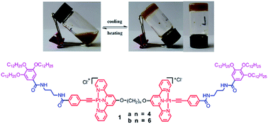 Graphical abstract: Binuclear alkynylplatinum(ii) terpyridine complexes with flexible bridges behave as organogelators for several organic solvents