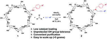 Graphical abstract: Modular synthesis of propargylamine modified cyclodextrins by a gold(iii)-catalyzed three-component coupling reaction