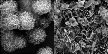 Graphical abstract: Metal ion type significantly affects the morphology but not the activity of lipase–metal–phosphate nanoflowers