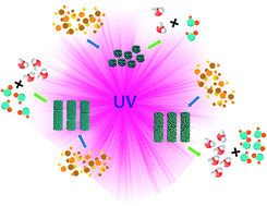 Graphical abstract: Metal/TiO2 hierarchical nanocomposite arrays for the remarkable enhancement of photocatalytic activity